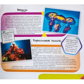 Подводный мир. Самые интересные факты Подводный мир. Самые интересные факты