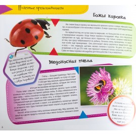 Насекомые. Самые интересные факты Насекомые. Самые интересные факты