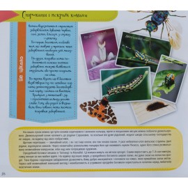 Комахи. Найцікавіші факти