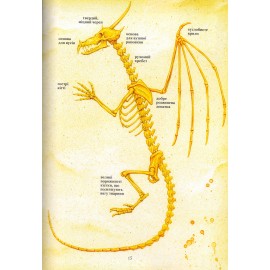 Книга Дракона (укр)