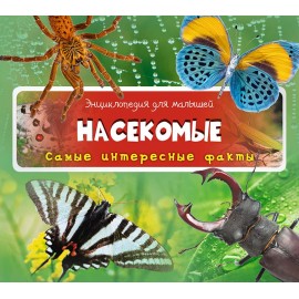 Насекомые. Самые интересные факты Насекомые. Самые интересные факты