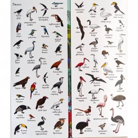 Шукай і знаходь. Тварини.