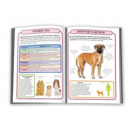 Собаки Собаки