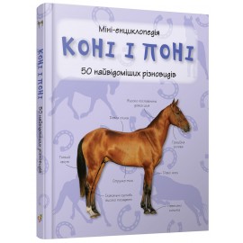 Коні і Поні Коні і Поні