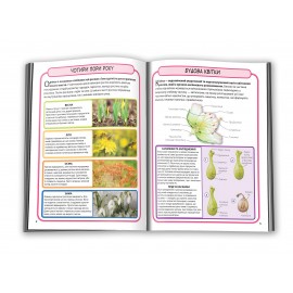 Дикі квіти Дикі квіти