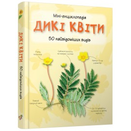 Дикі квіти Дикі квіти