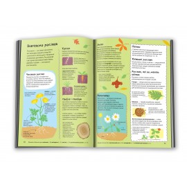 Перший ілюстрований довідник школярика Перший ілюстрований довідник школярика