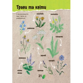 Екокнига. Зберегти ліс